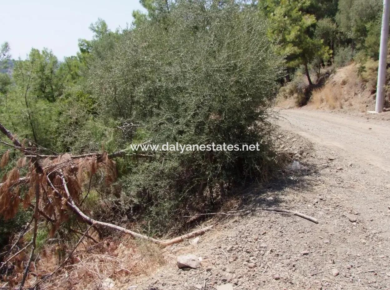 For Sale Land Also With Full Sea View For Sale In Sarigerme Land For Sale