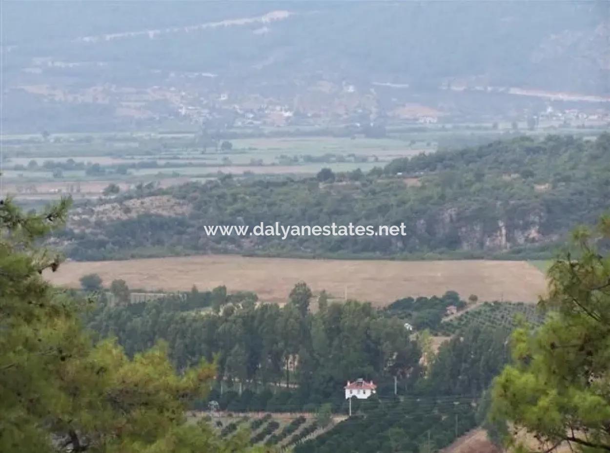 Gökçe Gökçe 21671M2 Farm For Sale For Sale