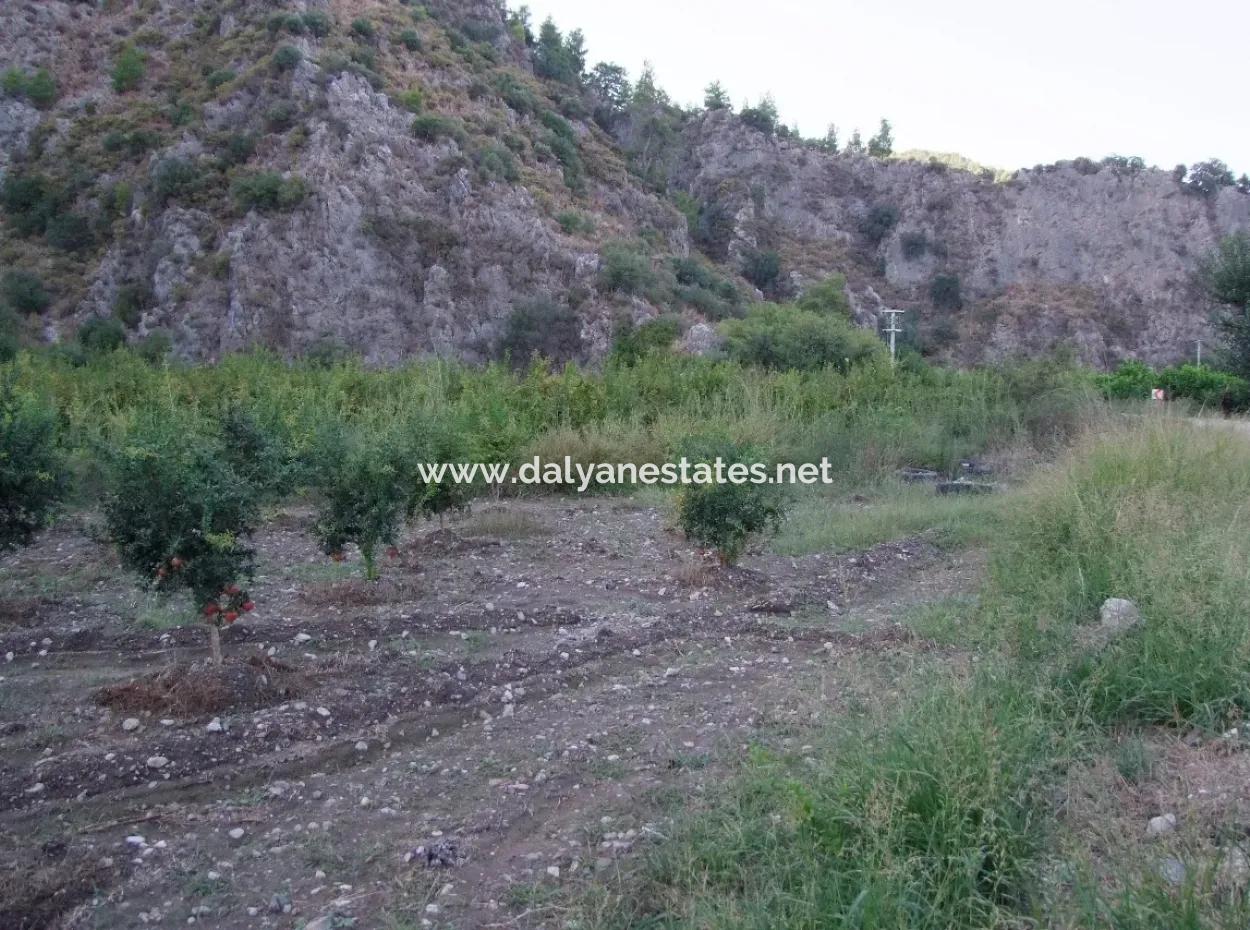 Plot For Sale In Pomegranate Garden For Sale In Oriya Mergenli Mergenli