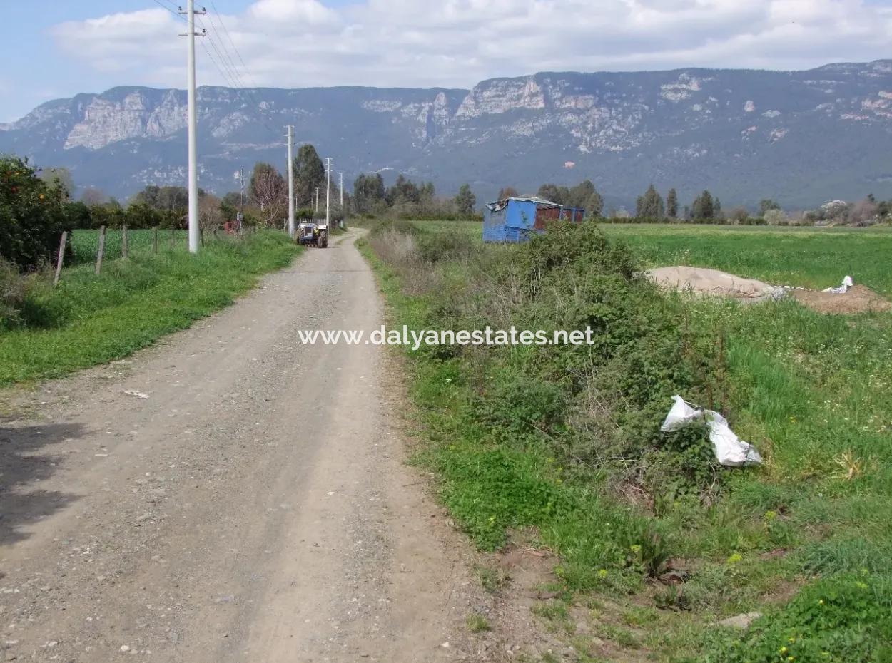 In Akyaka For Sale: Land For Sale Farm For Sale A Farm Near The Sea Of Ars, Yatirimlik 21625M2