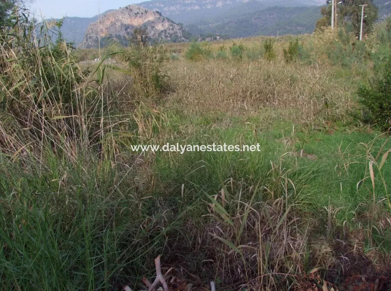 For Sale Land In Dalyan For Sale Dalyan Channel Zero