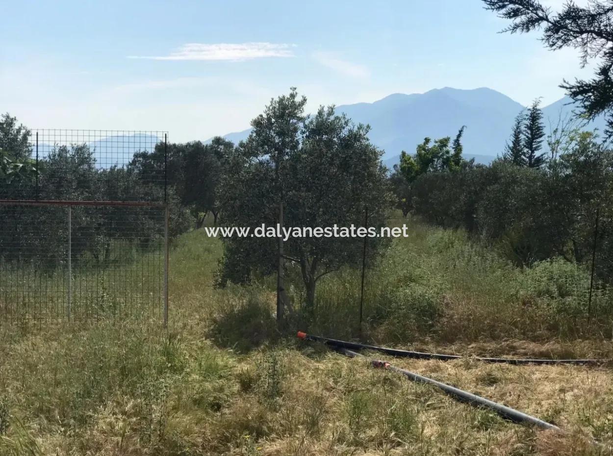 Land For Sale In Seydikemer Korubuku 76000M2
