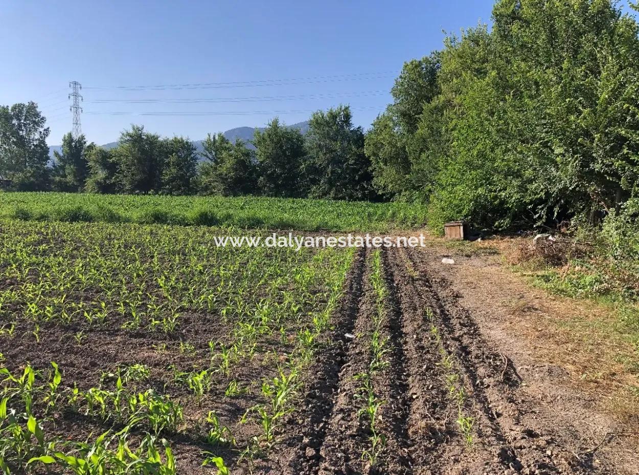 2200M2 Plot For Sale In Dalyan For Sale Dalyan