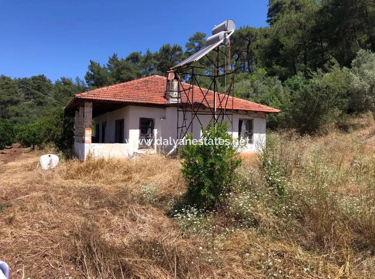Garden For Sale In Gokce Akyaka, Near The Sea, A 38,000M2 Plot For Sale