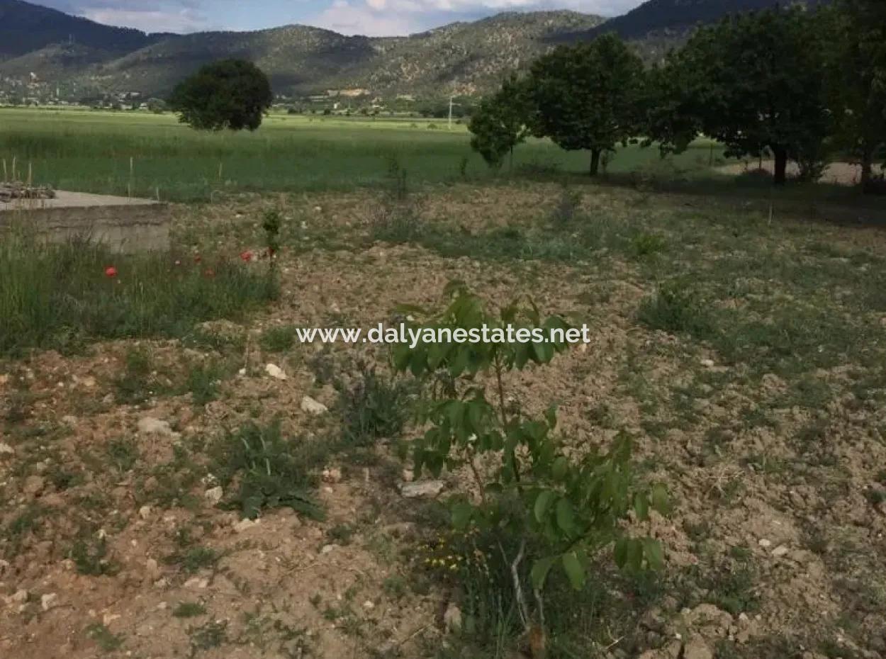For Sale In St John's, Stabby Plot For Sale Zero In On The Path 1562M2
