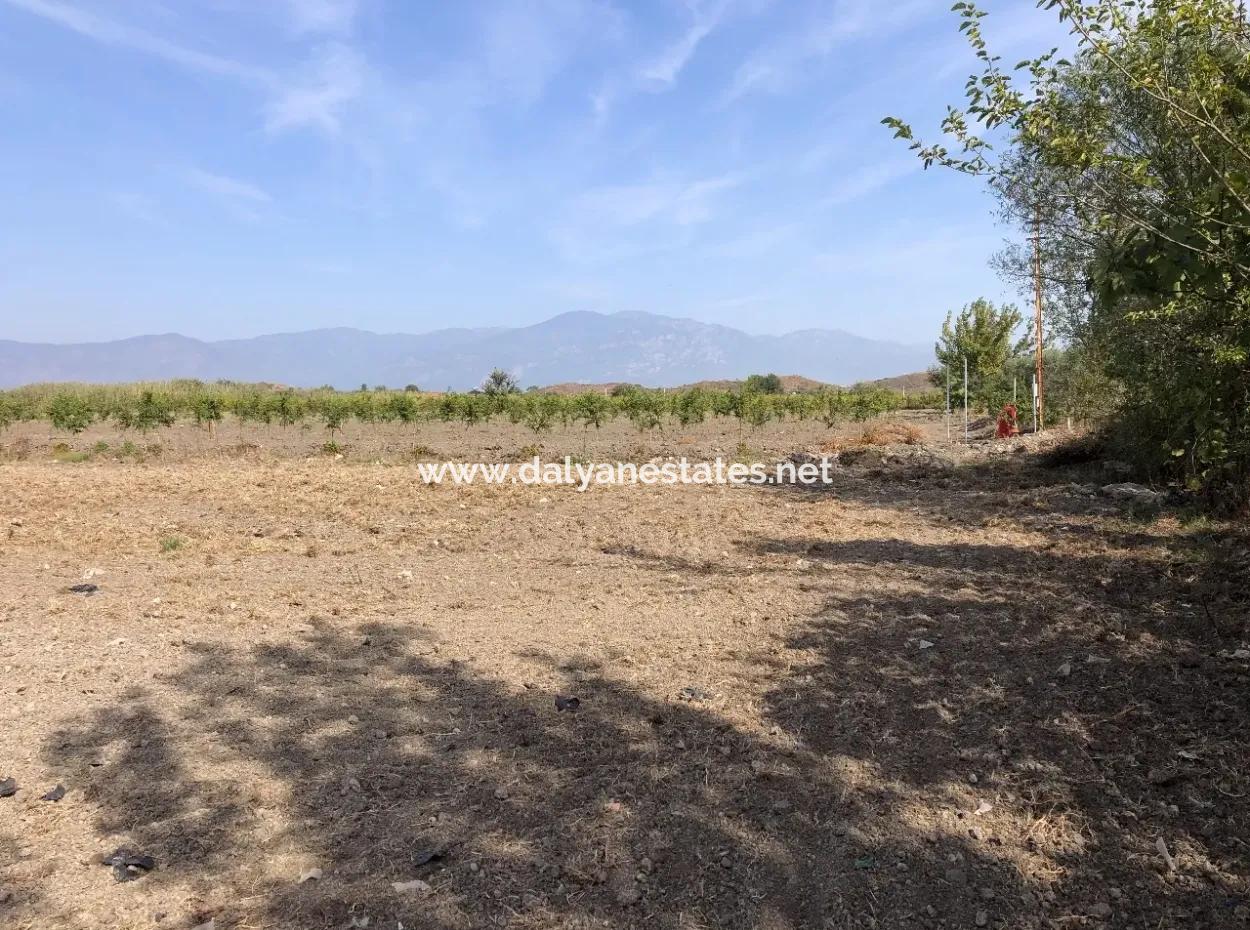 Land For Sale In Esköy 8500M2 Field Land For Sale