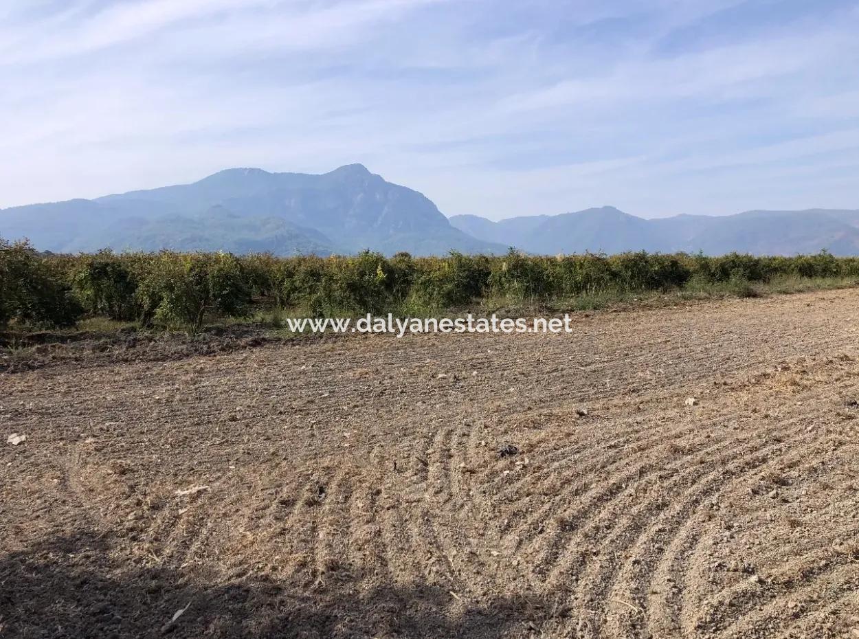 Land For Sale In Esköy 8500M2 Field Land For Sale