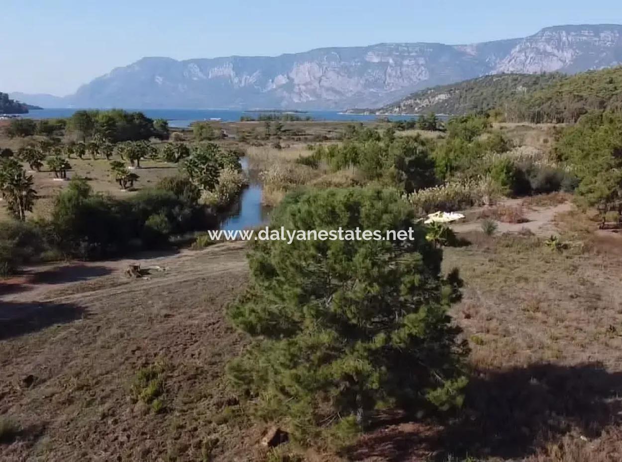 Land Land For Sale In Çamlıda Marmaris Çamlıda Sea View 11720M2 Land For Sale
