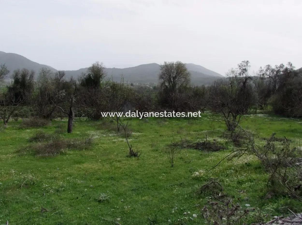 In Incirkoy Uzumlu Fethiye Plot For Sale Farm For Sale In Incirkoy