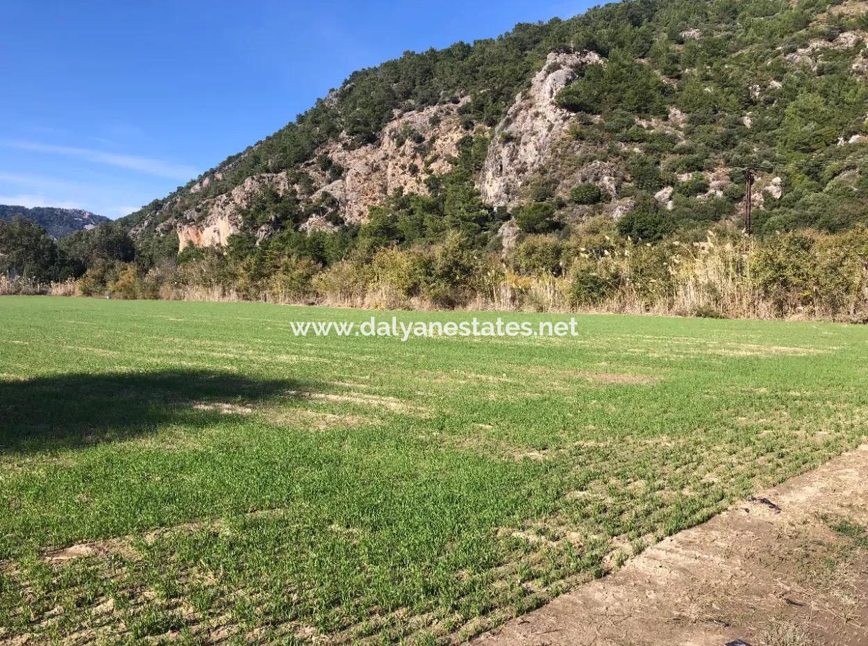 Land For Sale In Sarıgermede 30,000M2 Land For Sale With Sea View