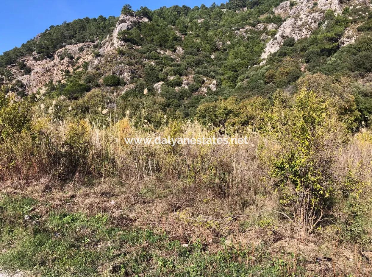 Land For Sale In Sarıgermede 30,000M2 Land For Sale With Sea View