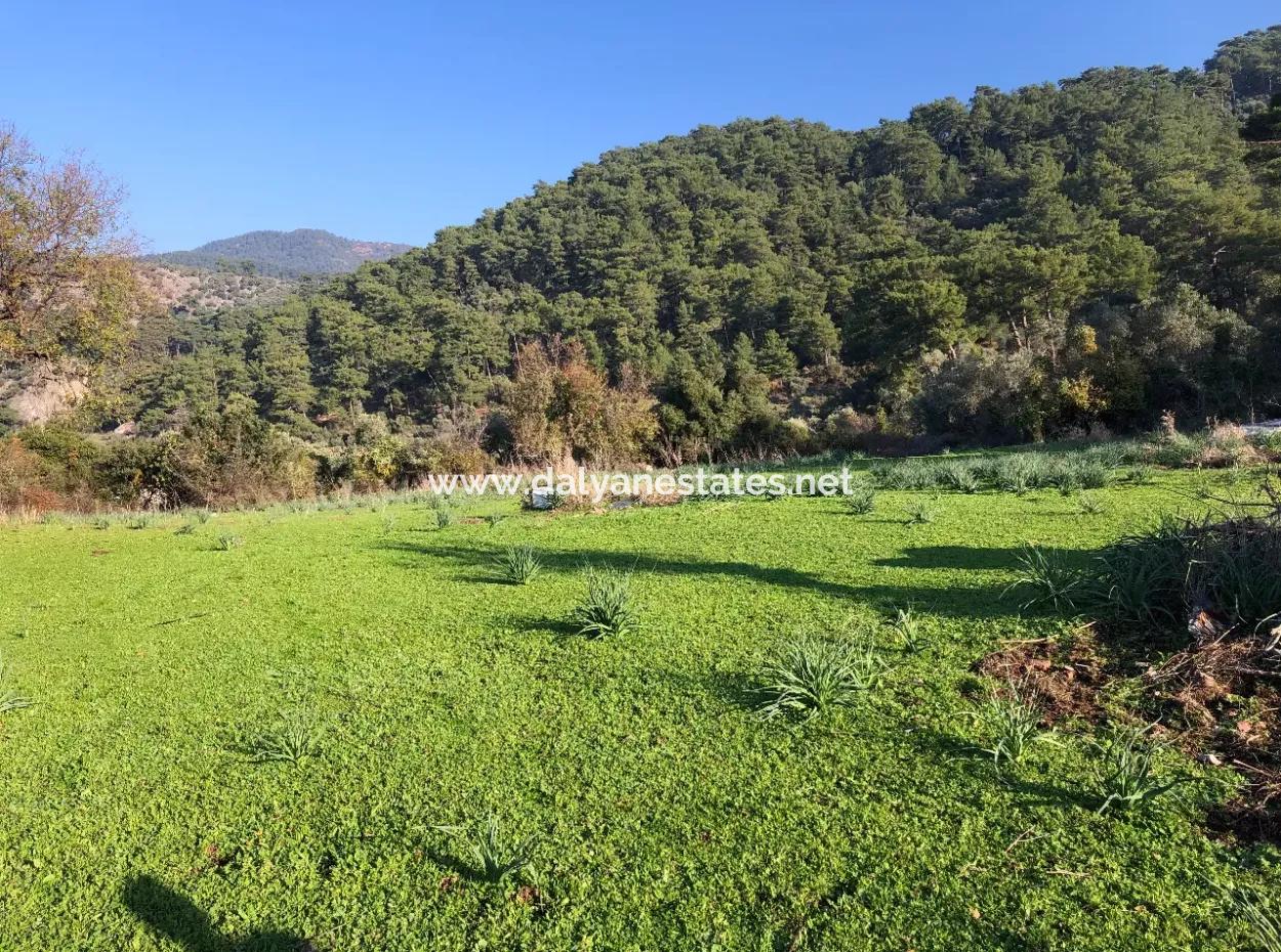 Ekincik Land For Sale 10,038M2 Land For Sale Field