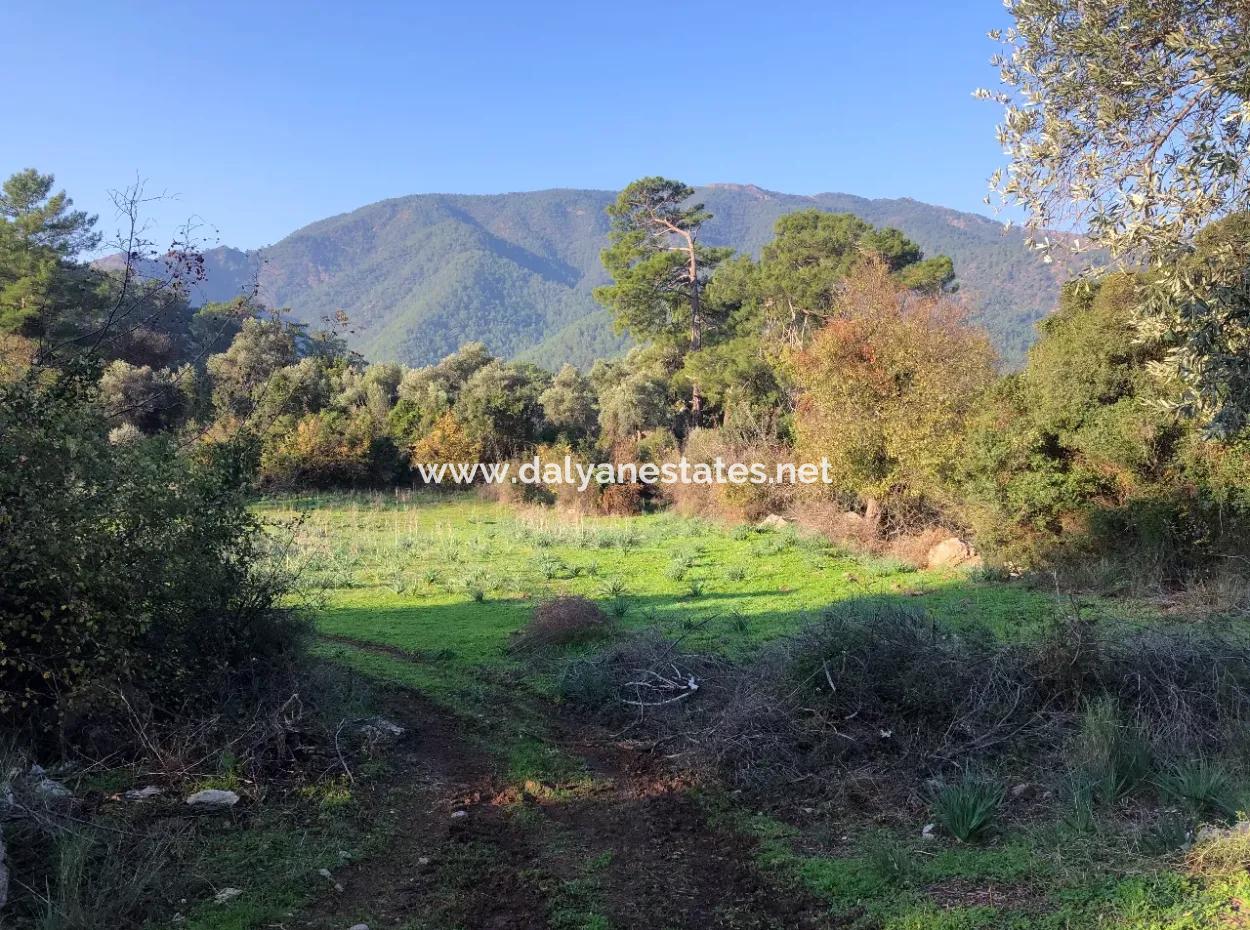 Ekincik Land For Sale 10,038M2 Land For Sale Field