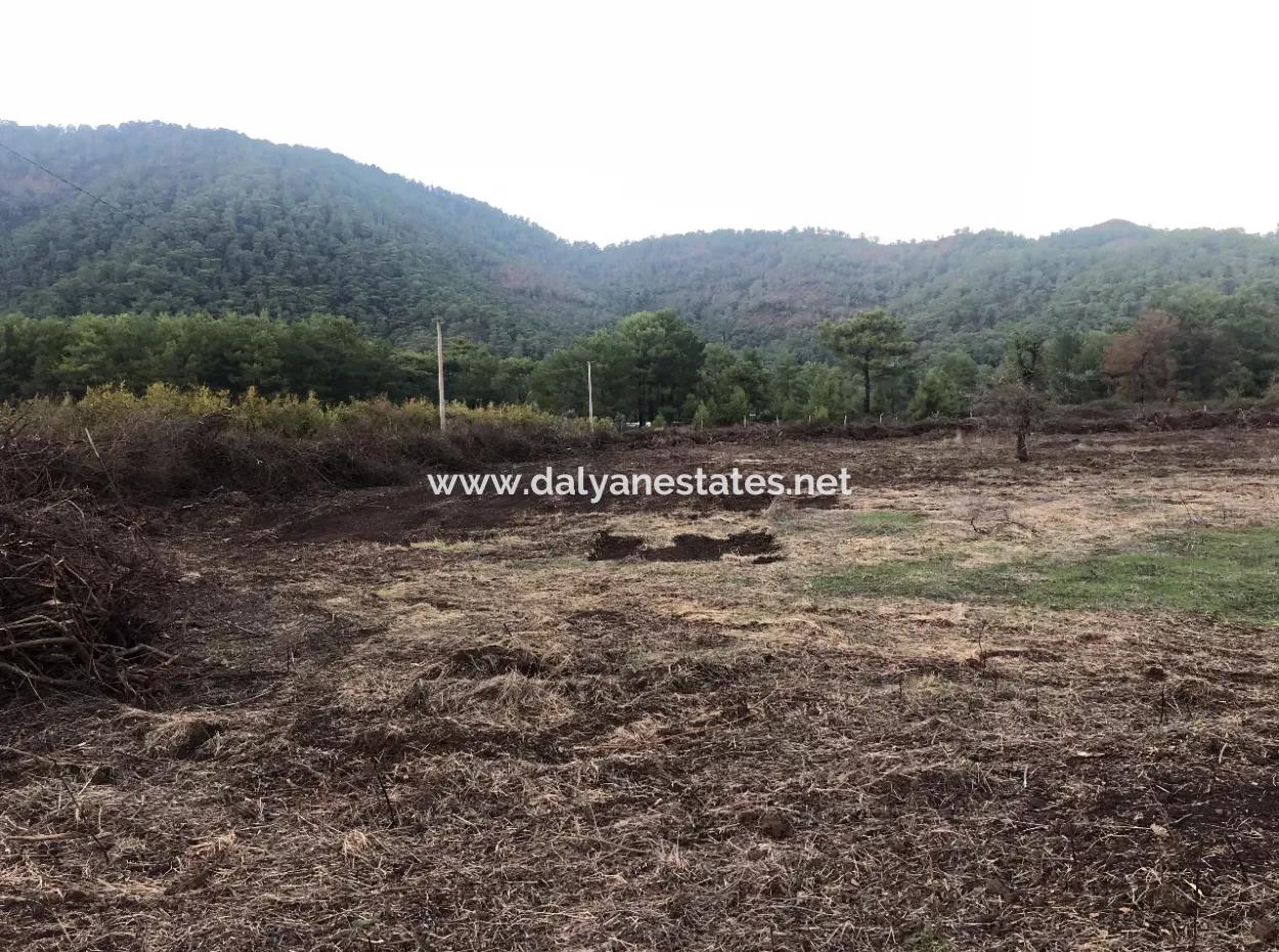 Sultaniye Land For Sale Near 10577M2 Lake Land For Sale