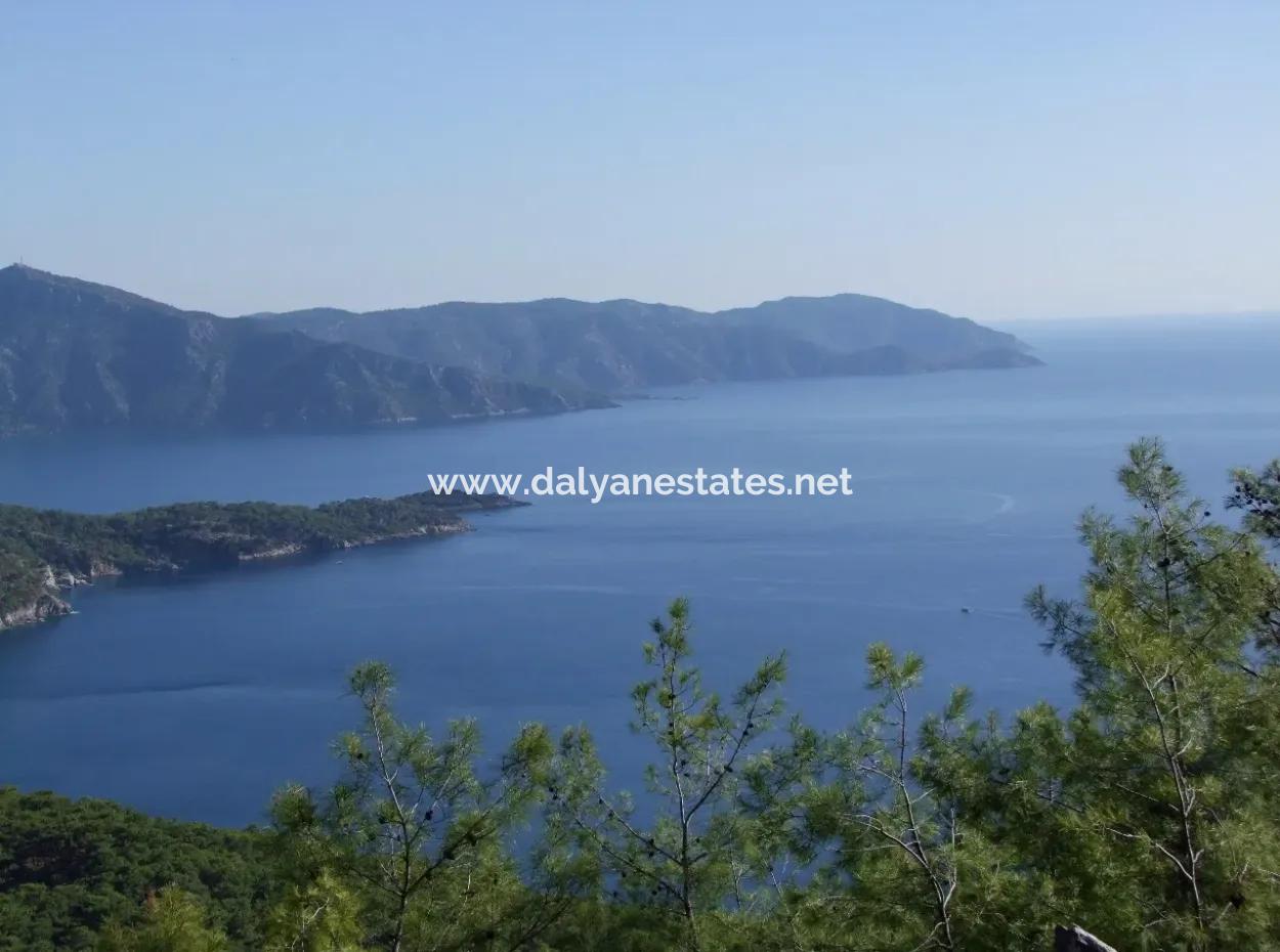 Real Estate Bargain Plot For Sale With Sea Views In Çandır Call In Ekincik