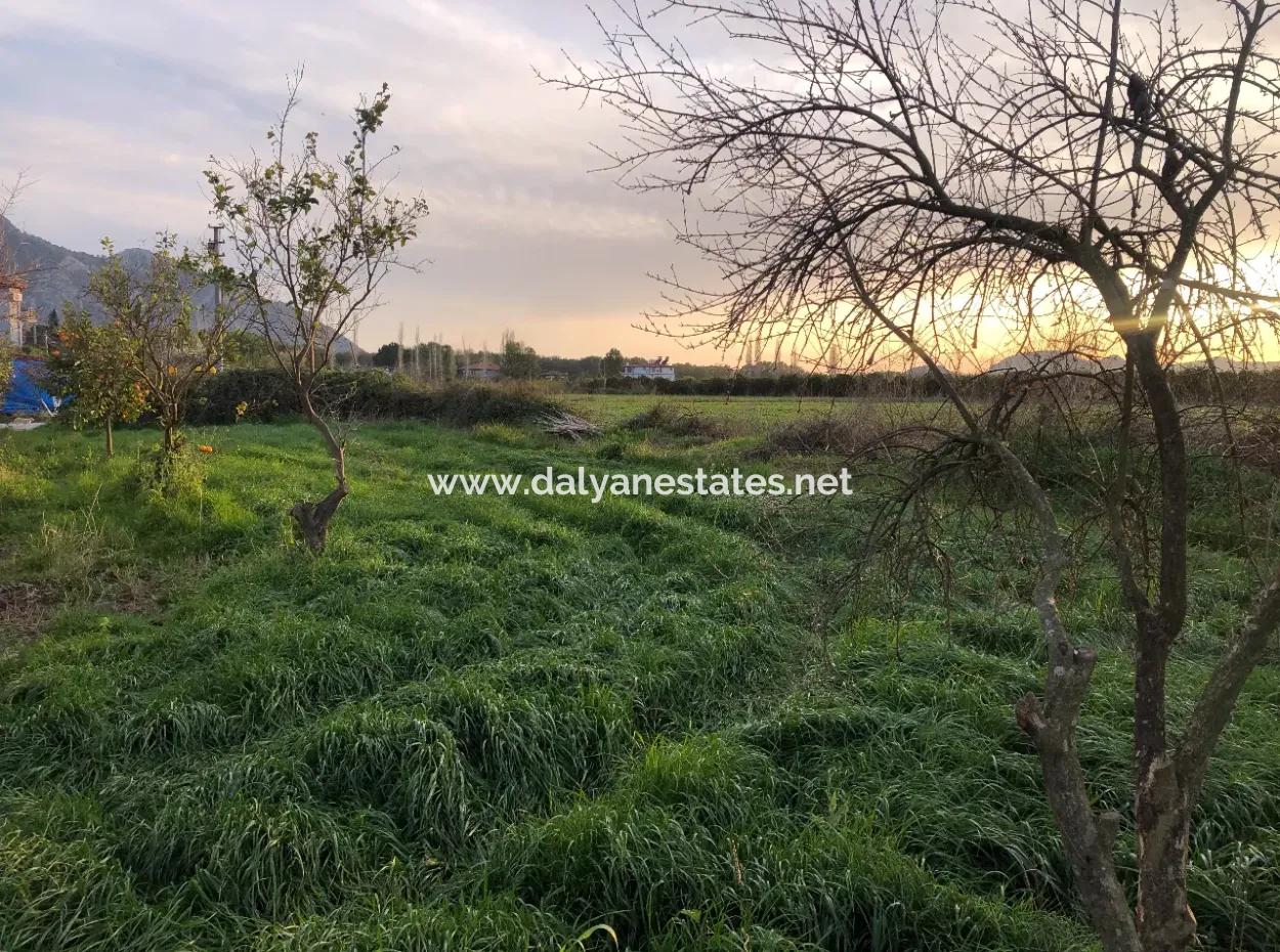 In Okçular Land For Sale 4707M2 Land For Sale
