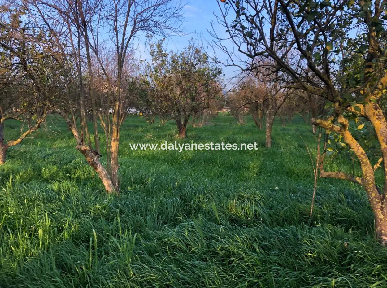 In Okçular Land For Sale 4707M2 Land For Sale