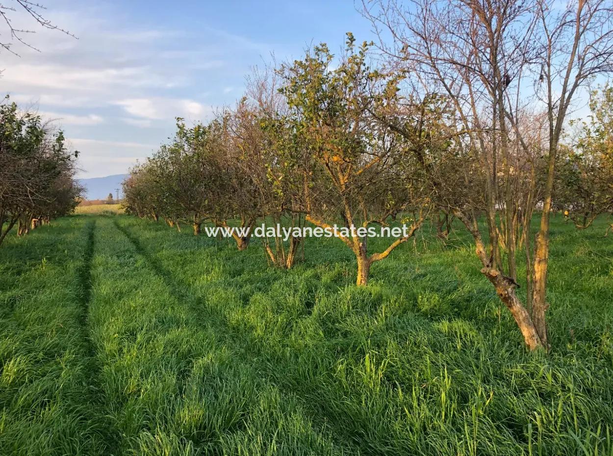 In Okçular Land For Sale 4707M2 Land For Sale