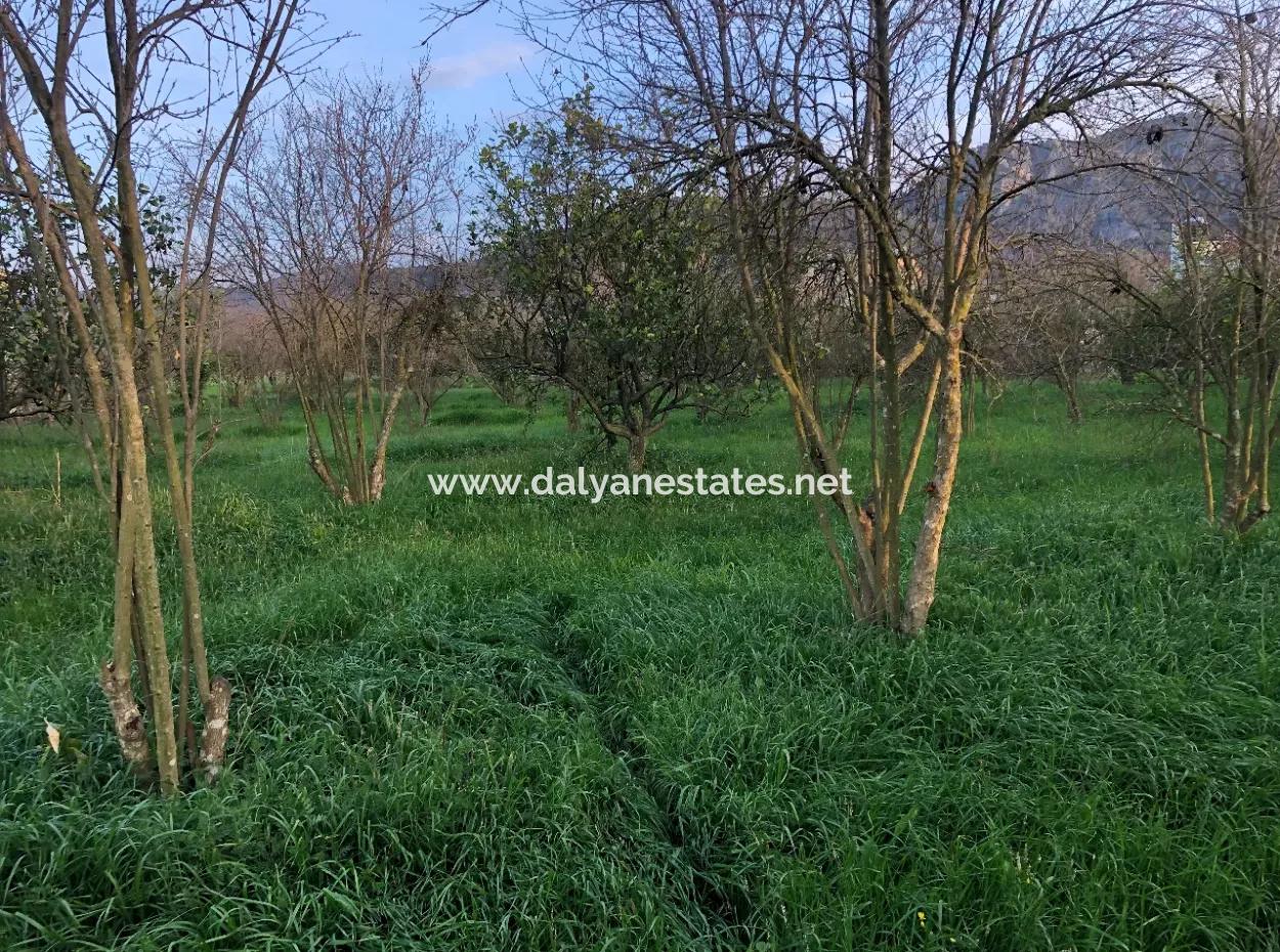 In Okçular Land For Sale 4707M2 Land For Sale