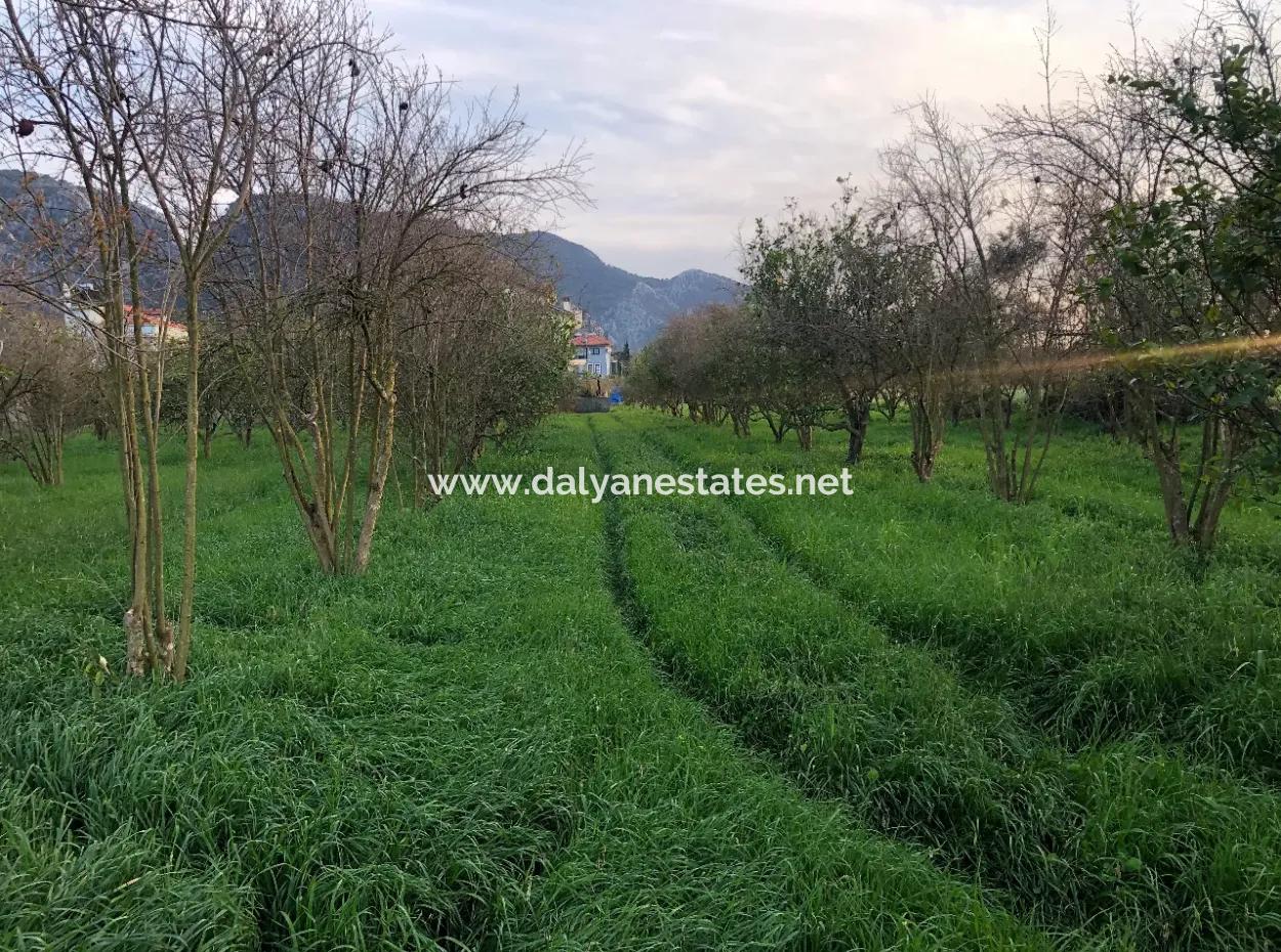 In Okçular Land For Sale 4707M2 Land For Sale