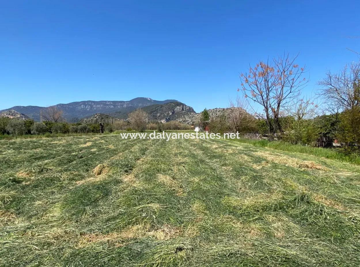 3700M2 Land For Sale In Dalyan