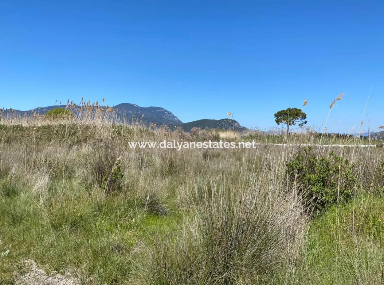 9310M2 Land For Sale In Dalyan
