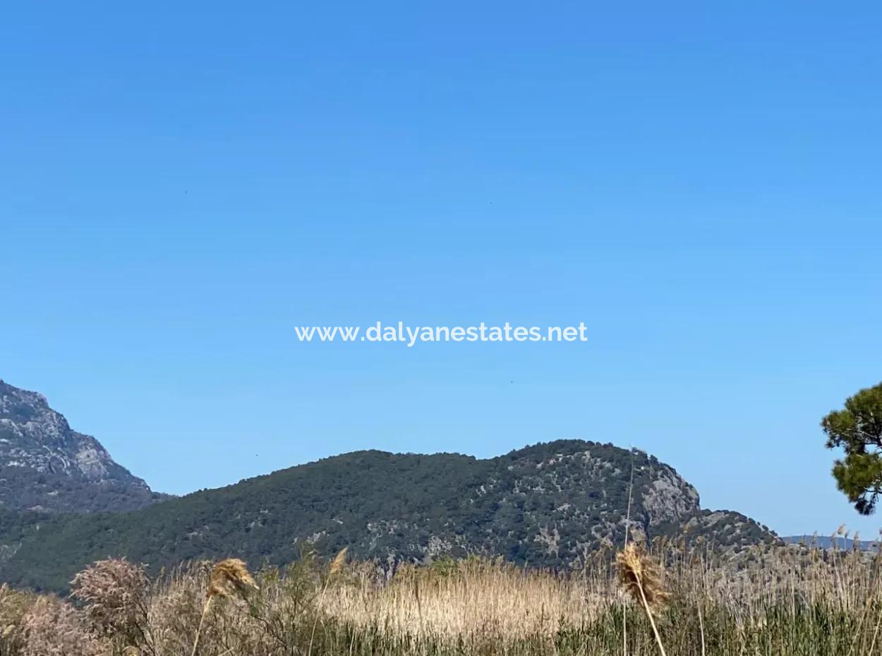 9310M2 Land For Sale In Dalyan