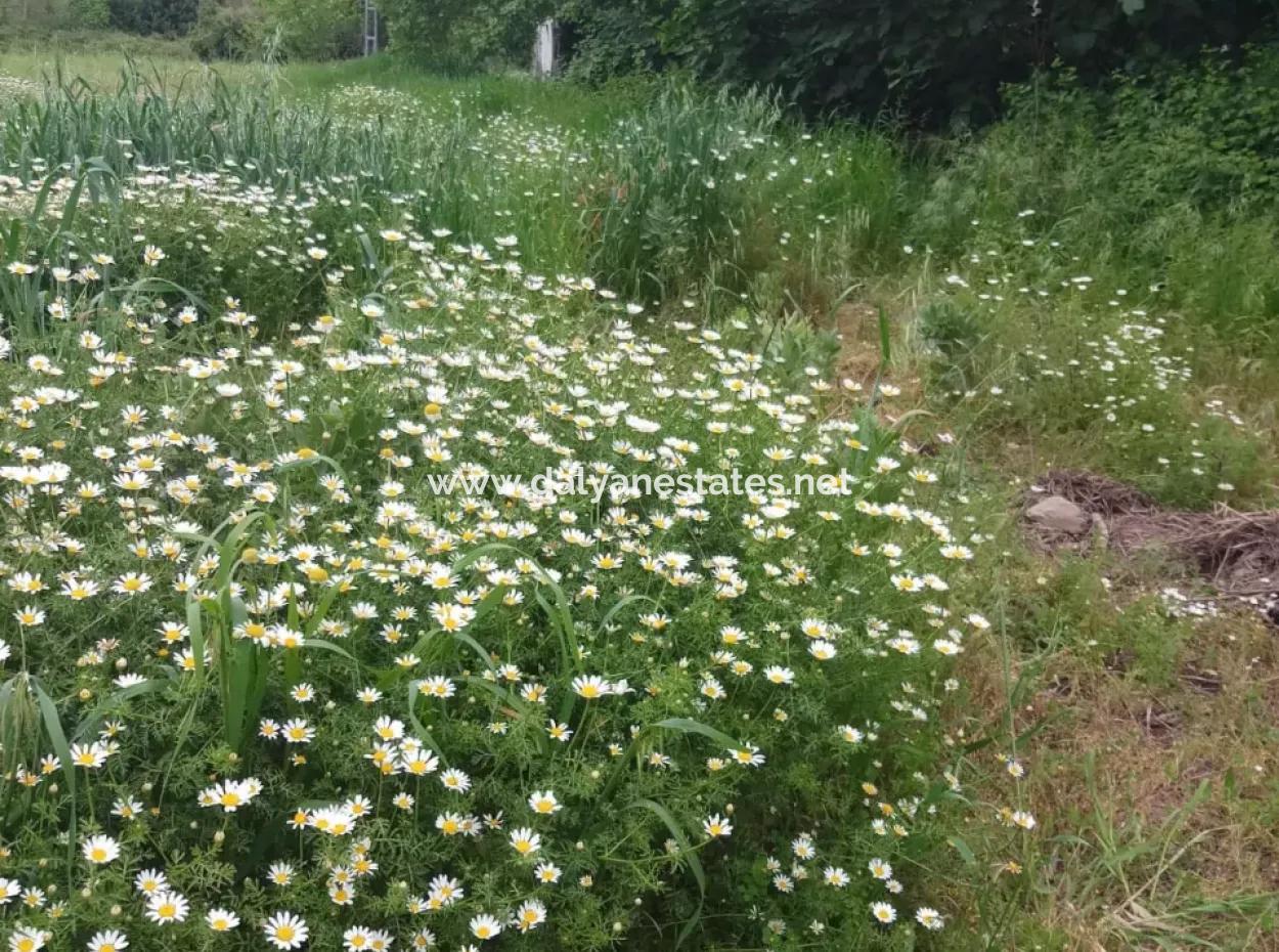 Land For Sale In Çamlida