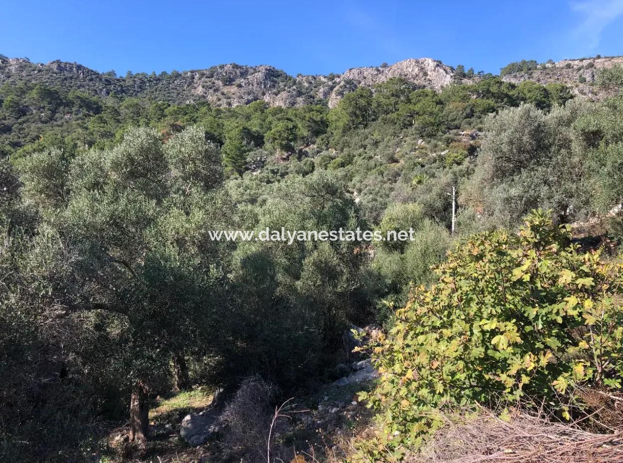 Land For Sale With Sea View Of Fevziye