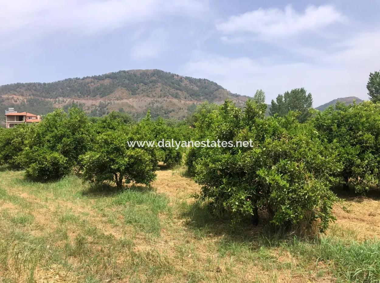 Land For Sale In Sourliyurtda 1085M2