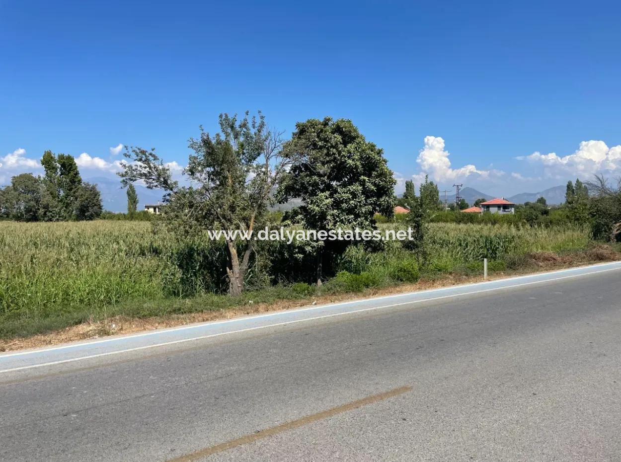 Dalyan Main Road Zero Land For Sale 8115M2 Commercial Land For Sale