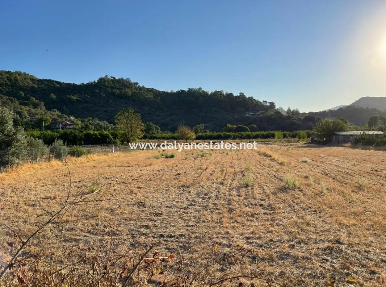 2000M2 Land For Sale In The Built-Up Area Of Çandir Village
