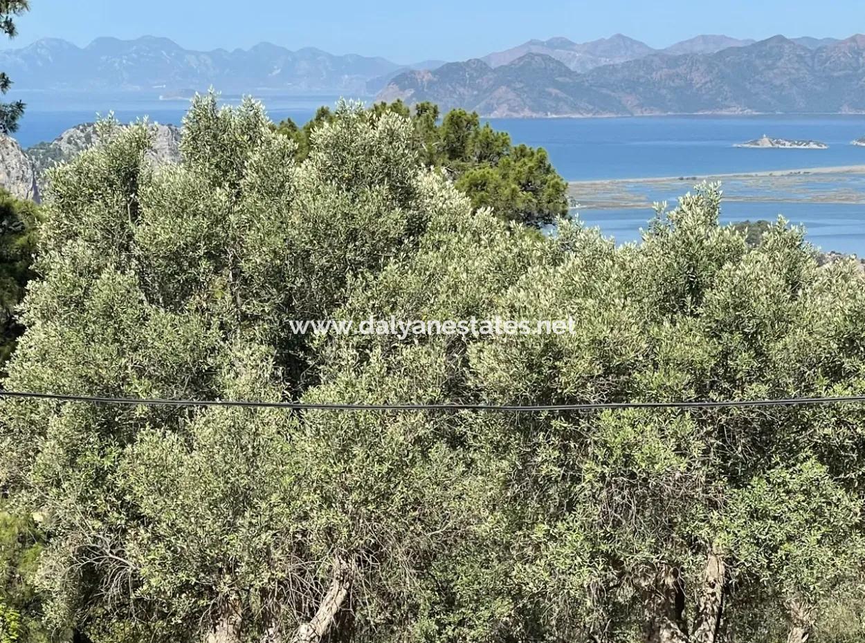Land For Sale With Sea View In Gokbel