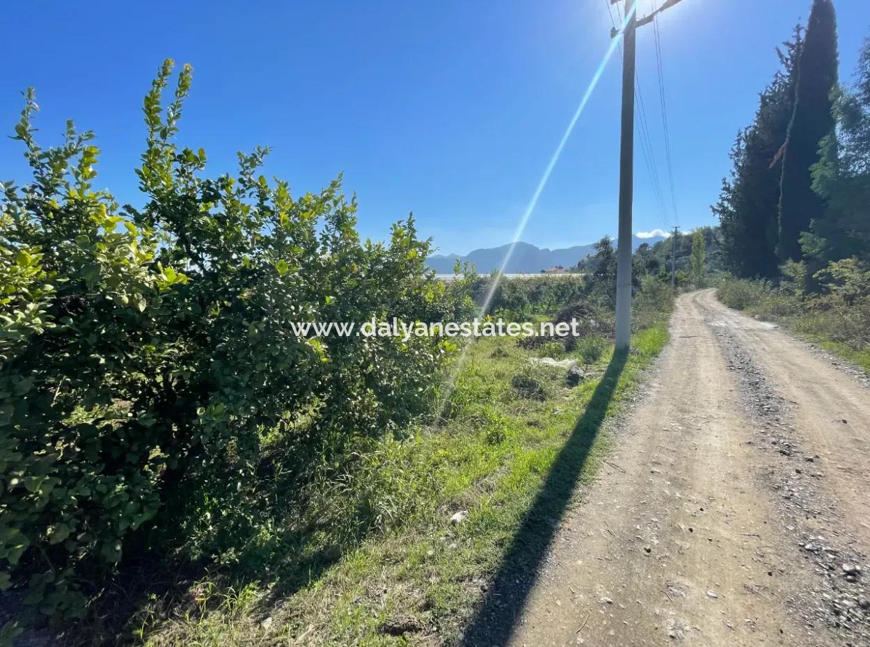 2223M2 Fields For Sale In Dalyan