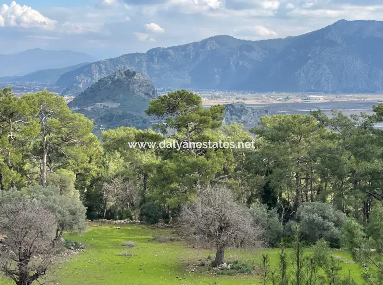 10,707M2 2B Field For Sale With Sea Lake View In Çandır