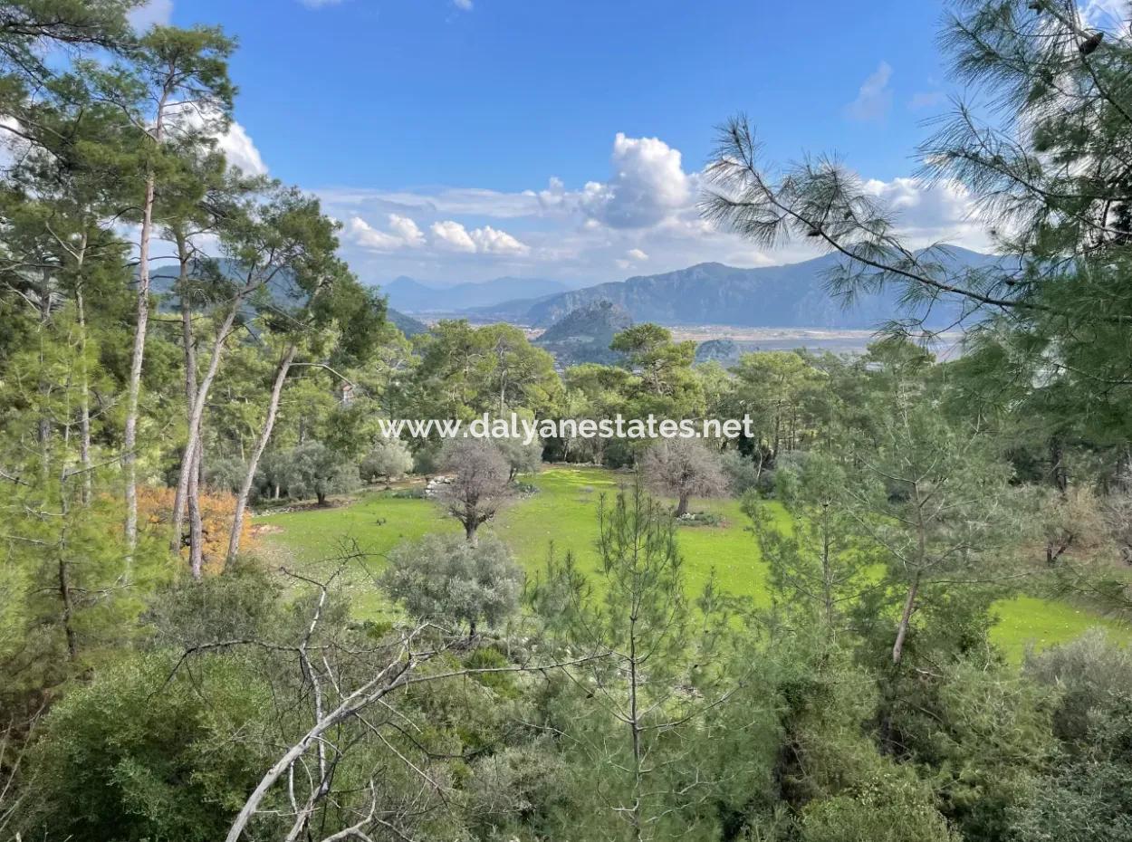 10,707M2 2B Field For Sale With Sea Lake View In Çandır