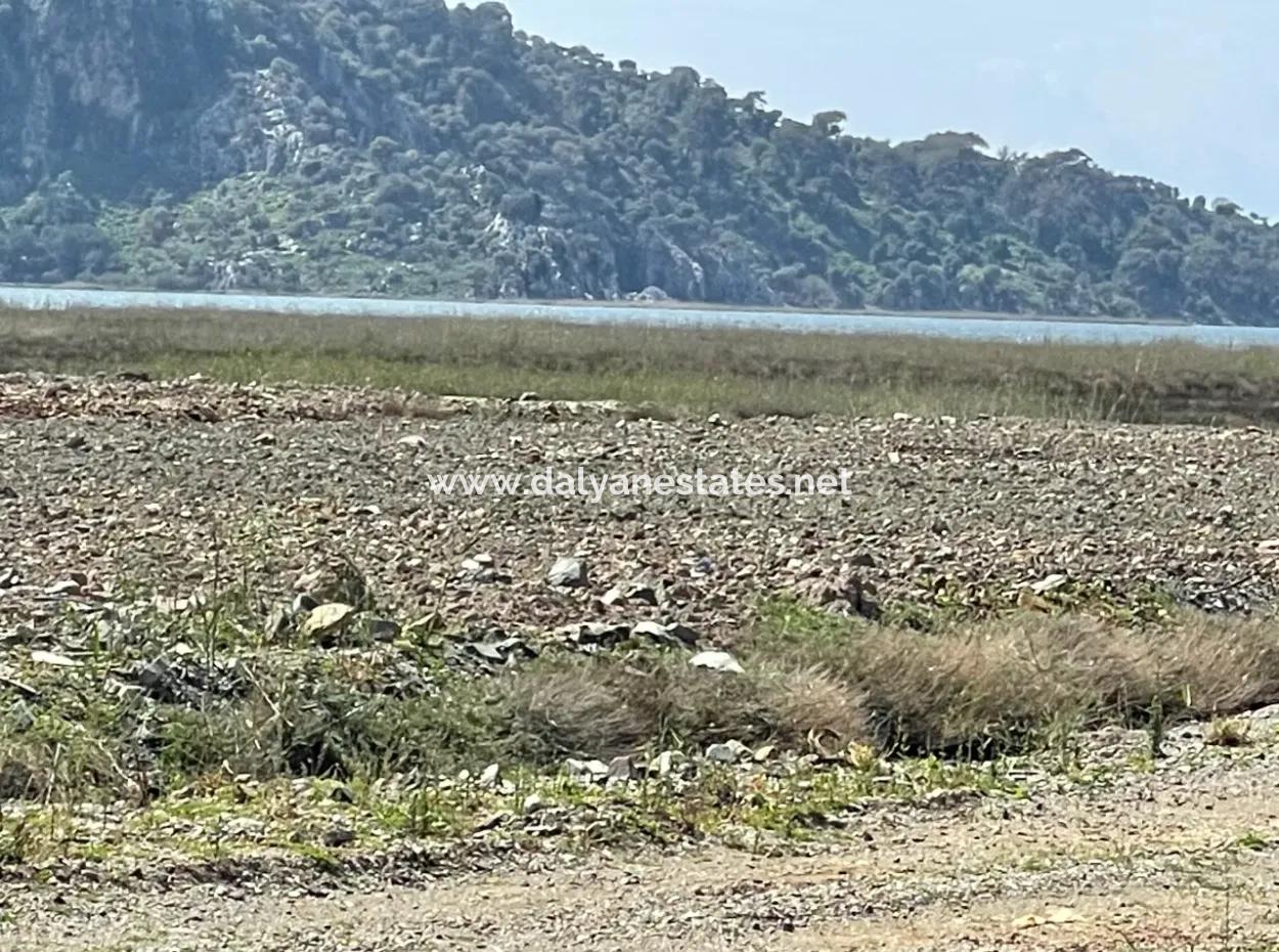 Dalyan Iztuzu Beach Road Zero 19,600M2 Field Land For Sale