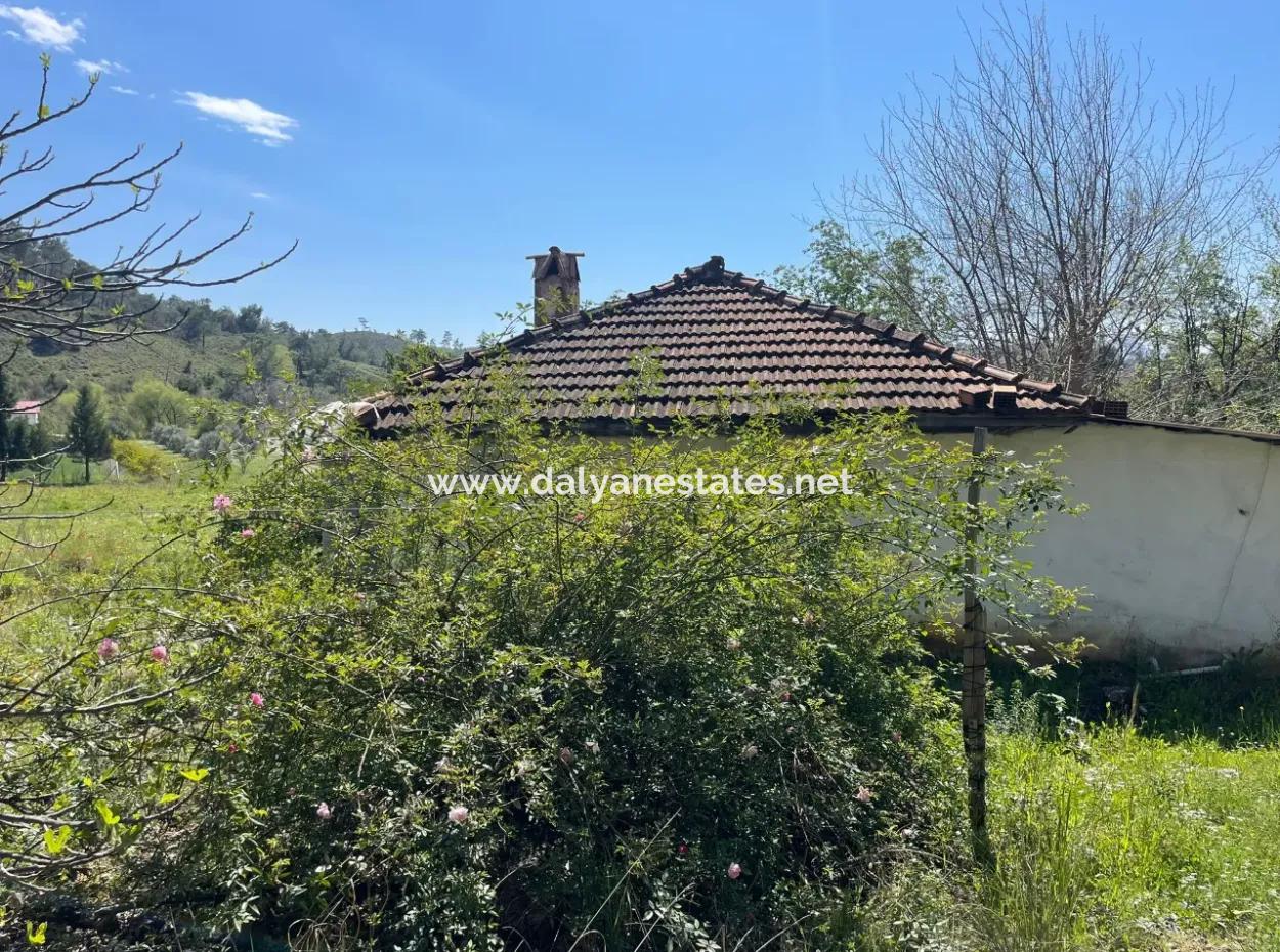 Village House For Sale In 5650M2 Field In Zeytinalann