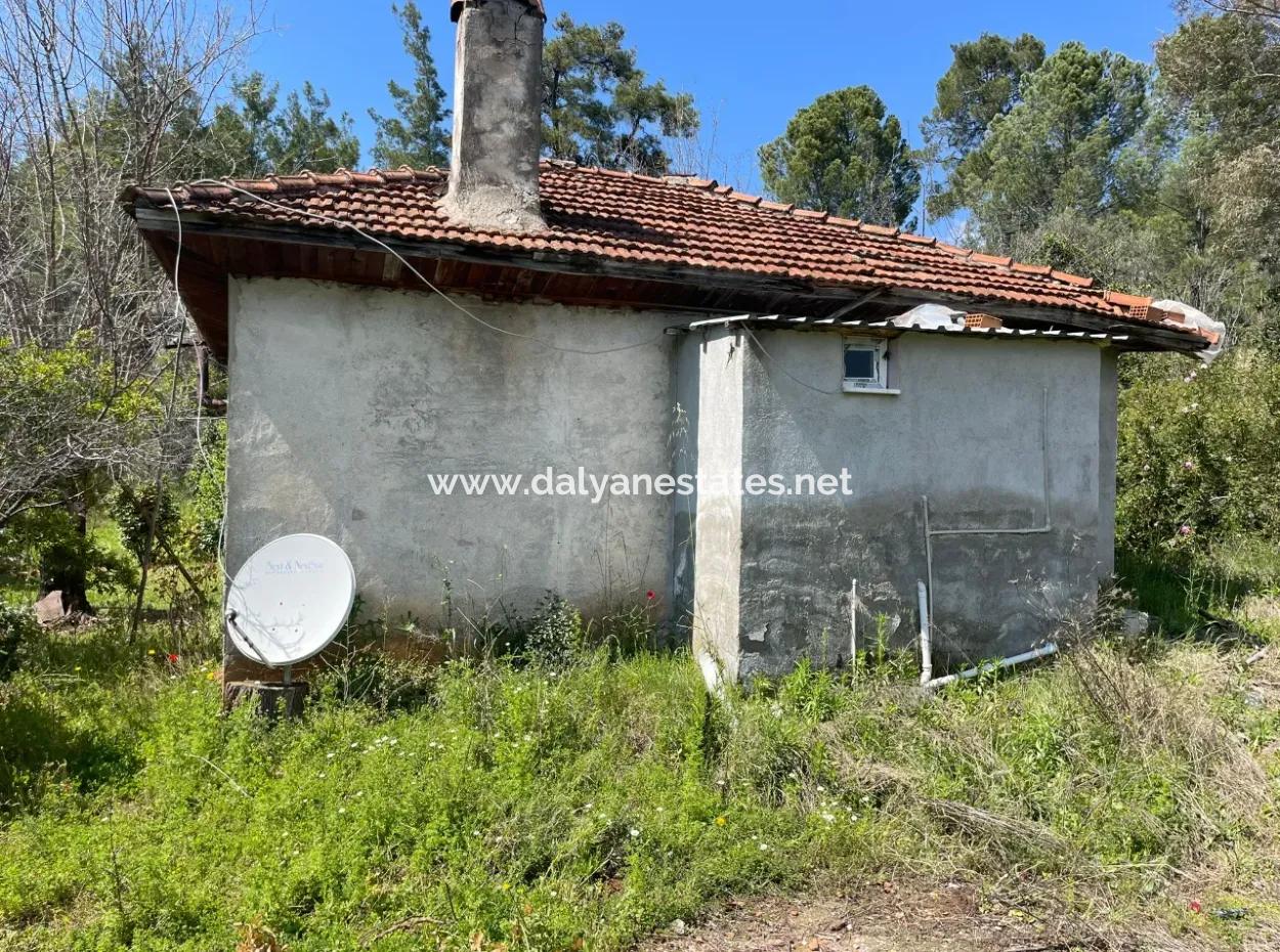 Village House For Sale In 5650M2 Field In Zeytinalann