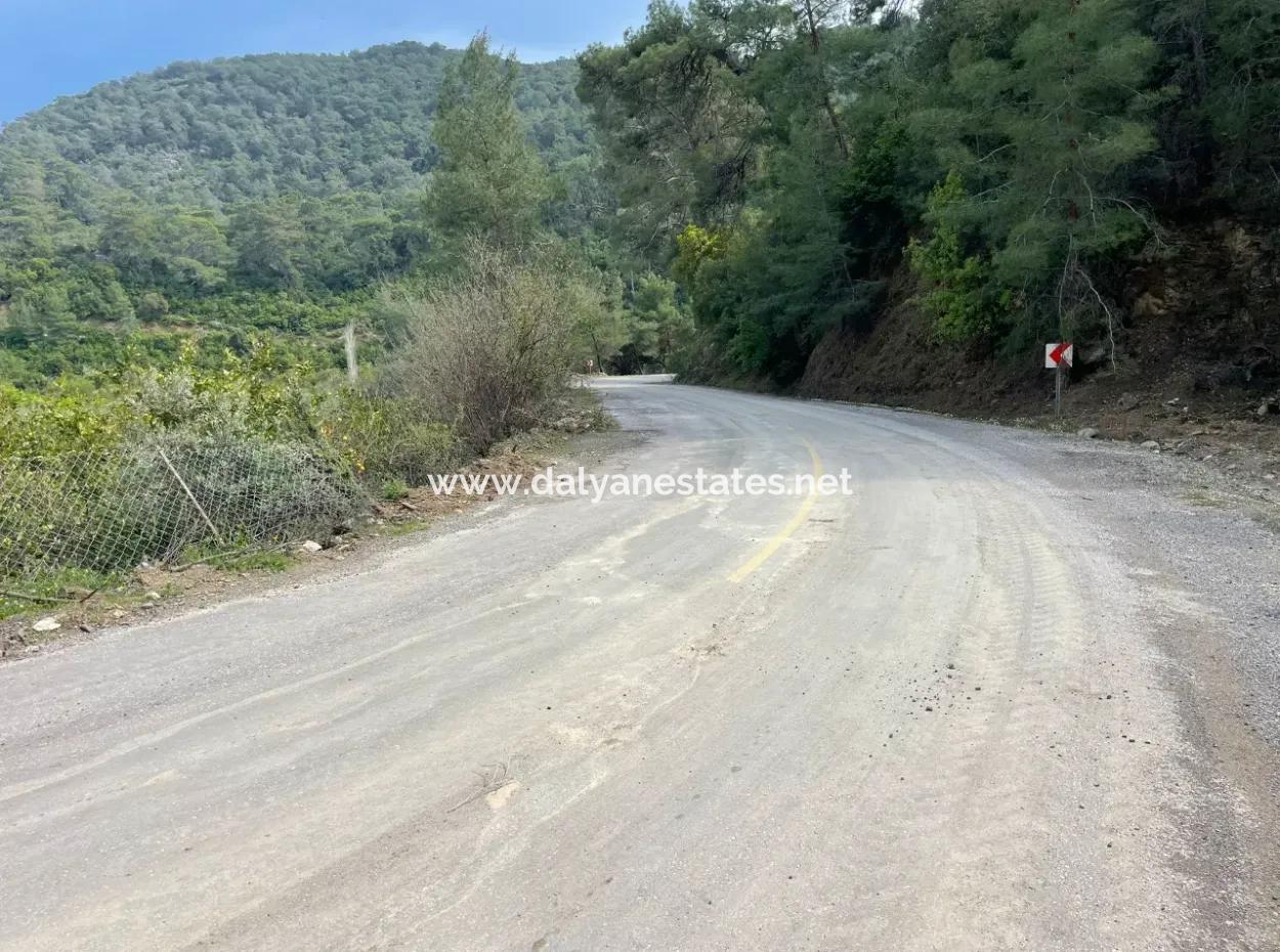 5000M2 Field For Sale At The Beginning Of The Road In Çandır