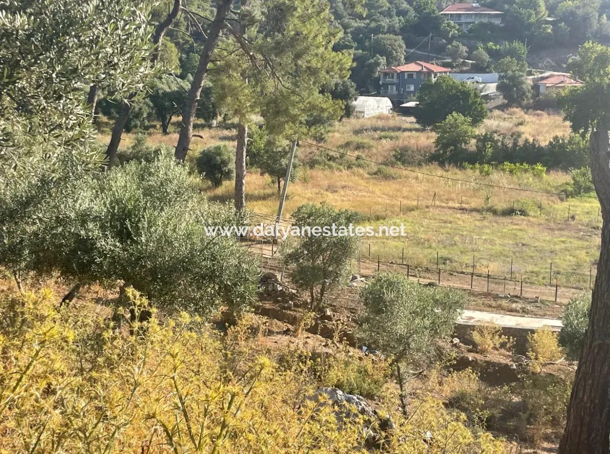 1,320M2 Field For Sale In Çandır Center By The Forest