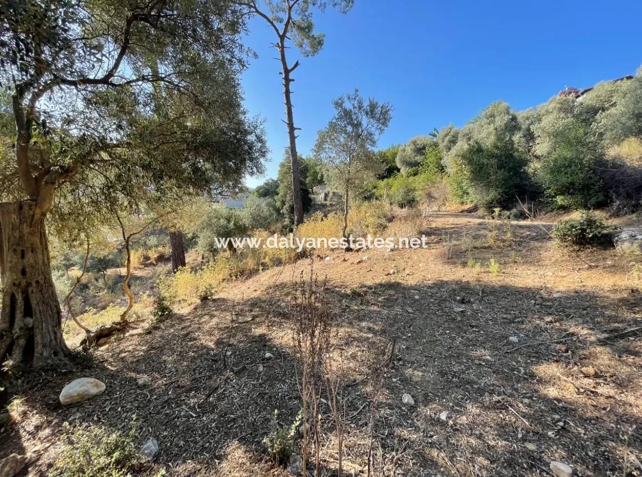 1,320M2 Field For Sale In Çandır Center By The Forest