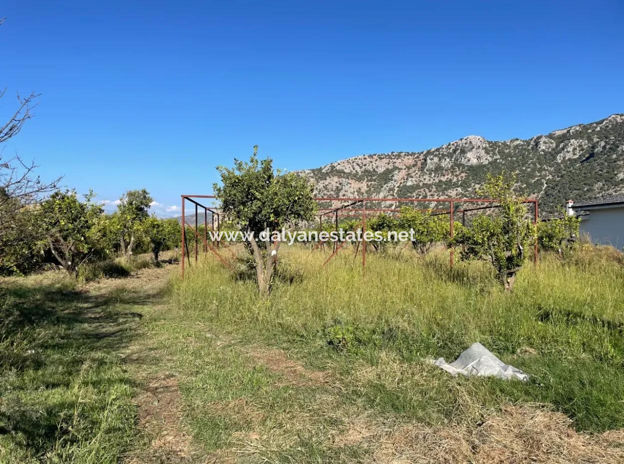 Land For Sale In Dalyan Close To The Center Of 6600M2