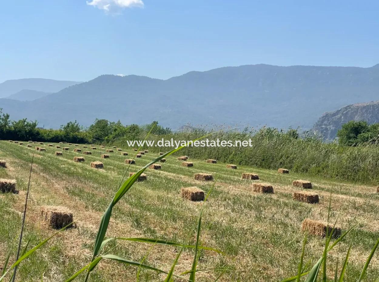 6,500M2 Field For Sale On The Iztuzu Road In Dalyan
