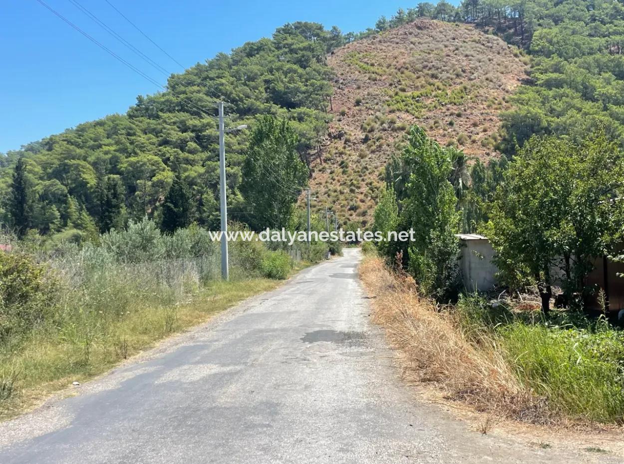 Road-New 6820M2 Pomegranate And Lemon Orchard Is For Sale In Tepearası