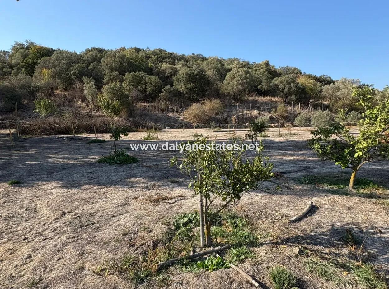 19.663M2 Farm Land And House For Sale In Eskiköy