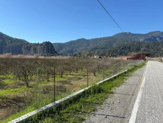 5985M2 5% Zoned Land For Sale In Dalyan As Vineyard Garden