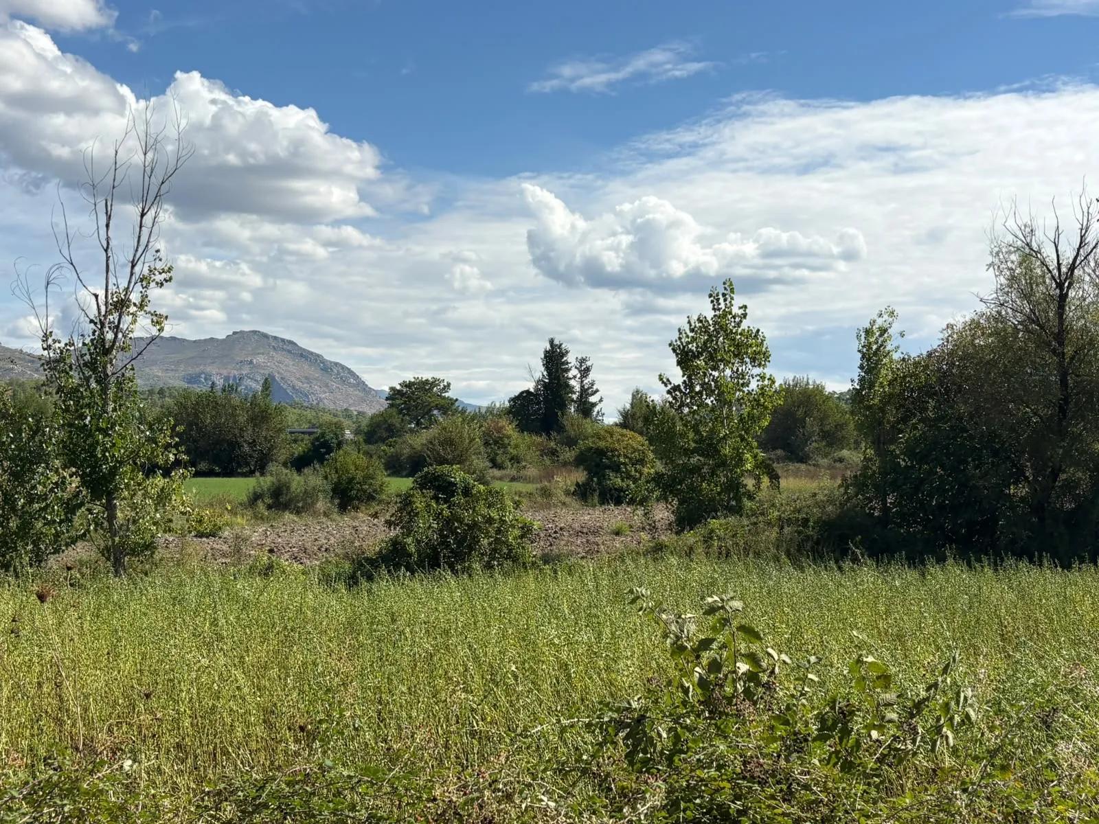 Поле площадью 10.500 m2 продаётся в Köyceğiz Zeytinalanı