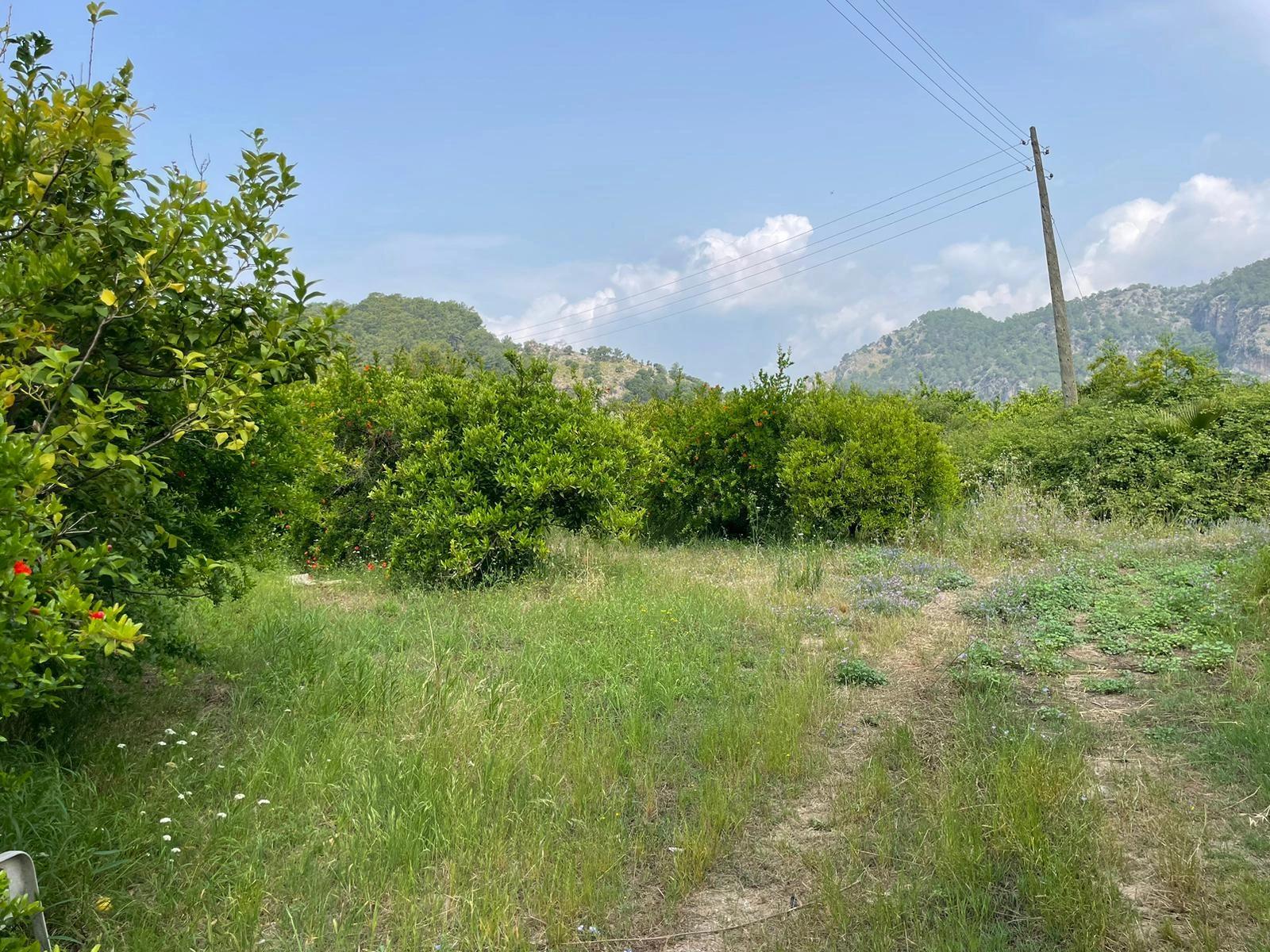 Земля 7800m2 На Продажу В Гёкбеле, Рядом С Дорогой Изтузу Бич Роуд