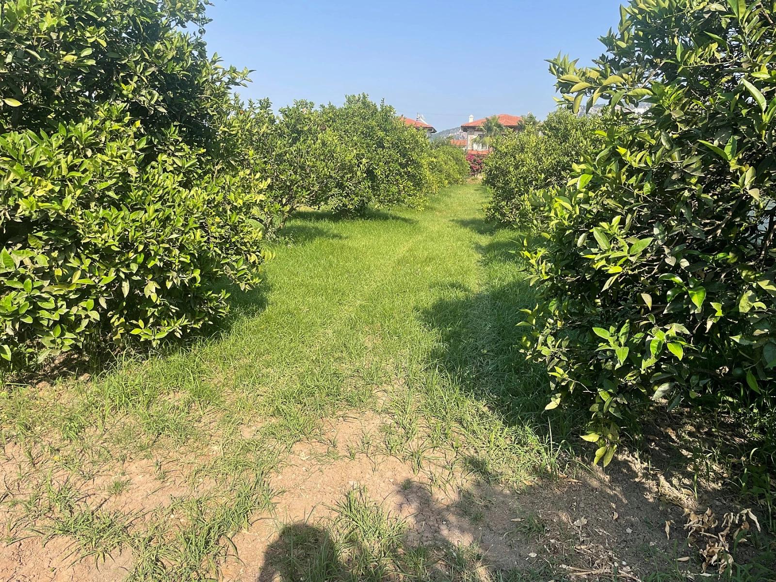 Земля 722м2 На Продажу В Дальян Гюльпынар